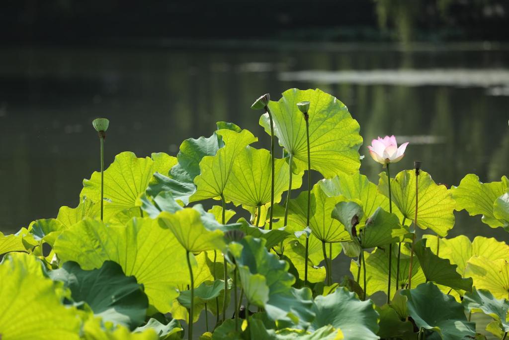 Surrounding environment
