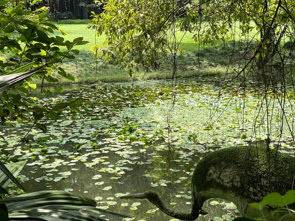Surrounding environment