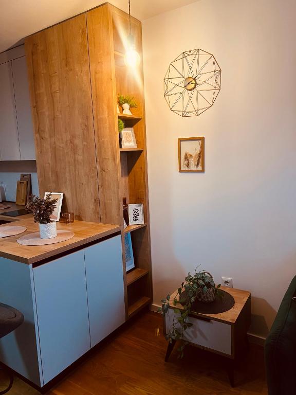 Ski INN apartment Jahorina - 3