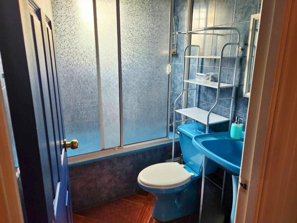 Cabaña de 2 habitaciones, full equipada en Isla Teja - 4