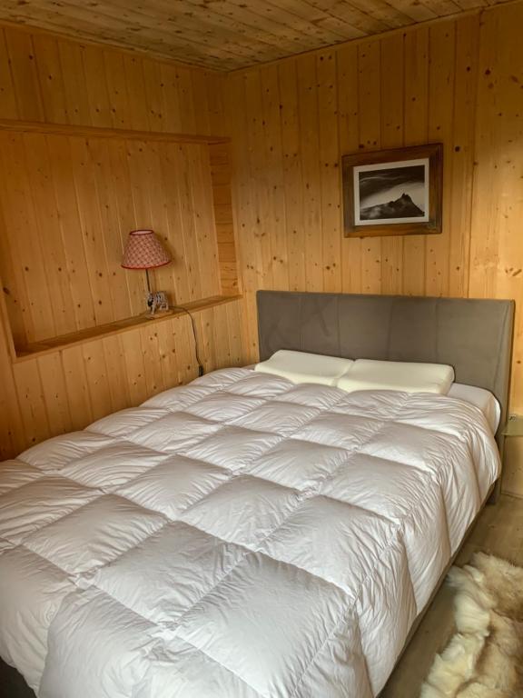 Chalet de la Forêt - 2
