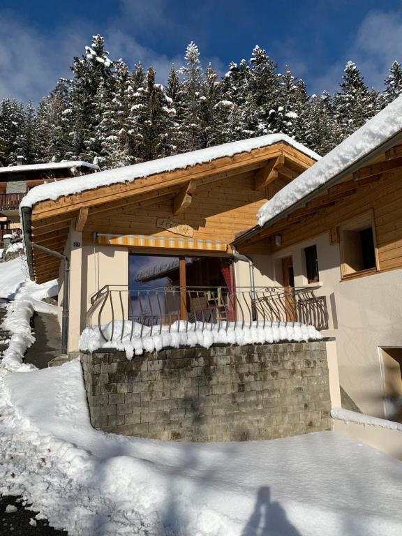 Chalet de la Forêt - 4