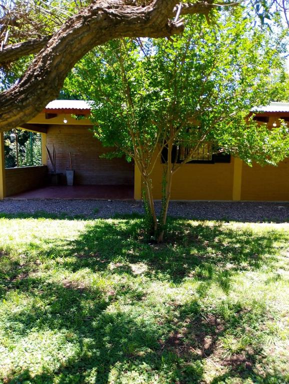 Cabañas Universo - 4