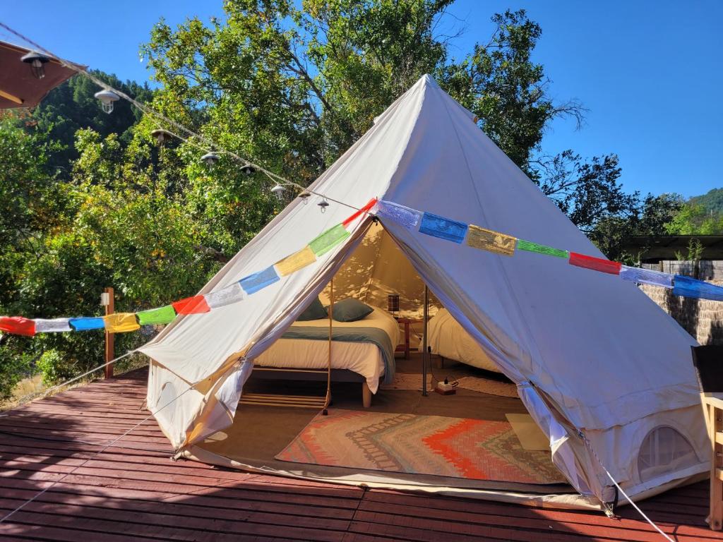 Achibueno Glamping - 3