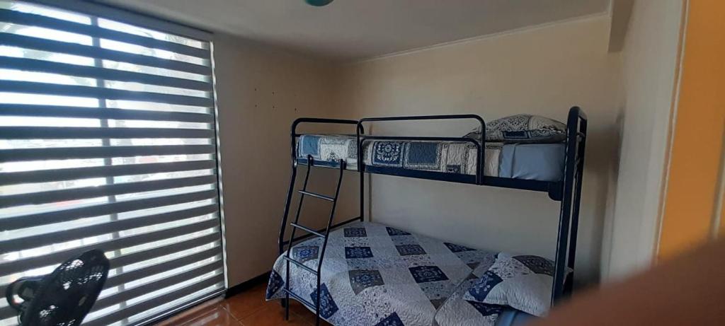 Excelente departamento - 5