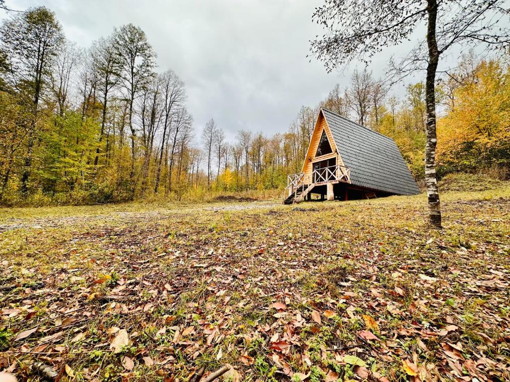Araucaria Lodge Cabaña Alpina cerca del Parque Conguillío - 2