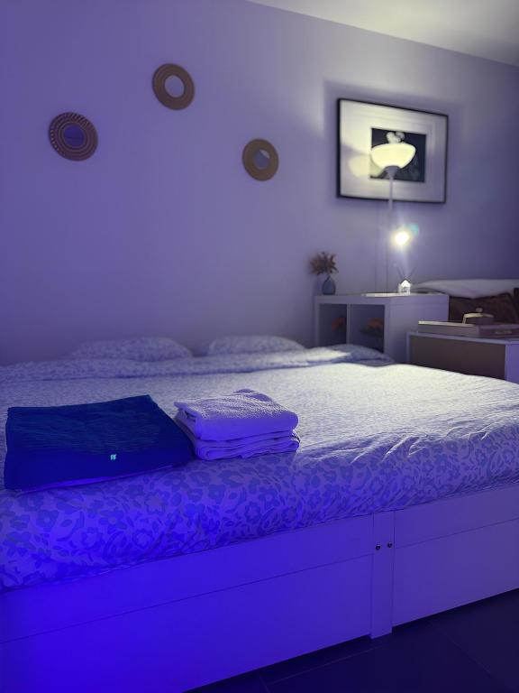 Studio Design à Mulhouse - 1