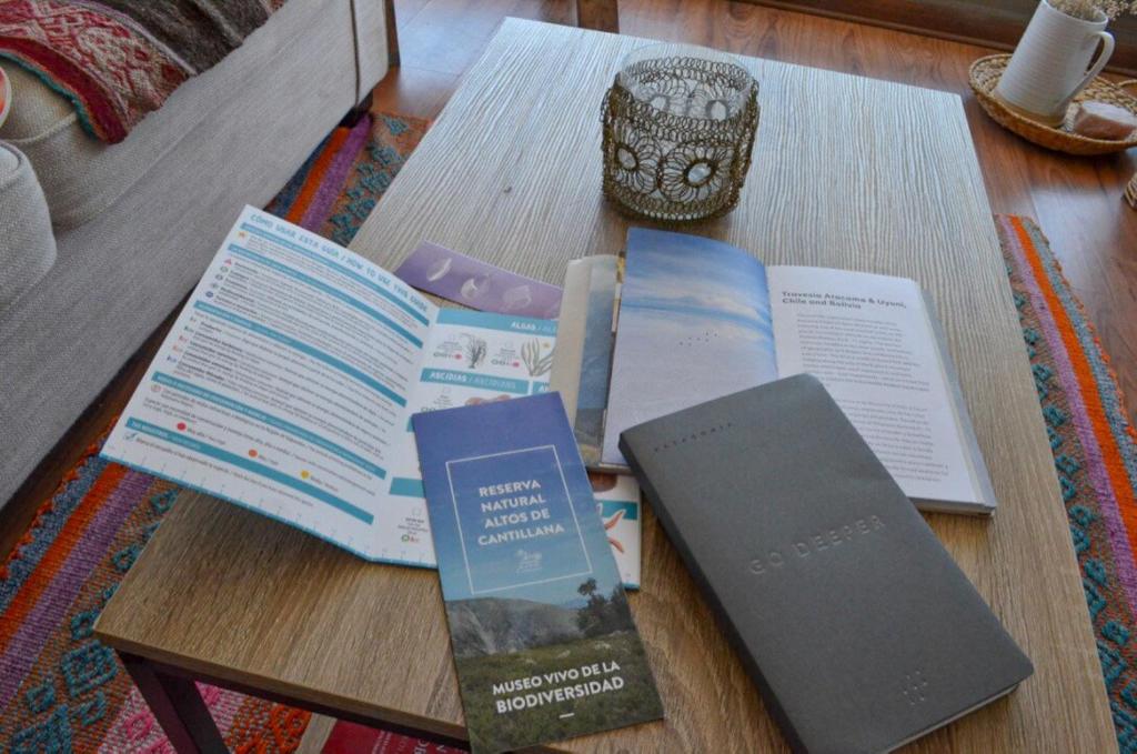 Hermoso y Acogedor Departamento en el Centro - 4