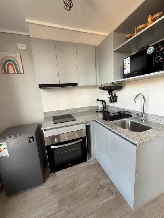 Apartamento Moderno con Vista al Parque OHiggins - 2
