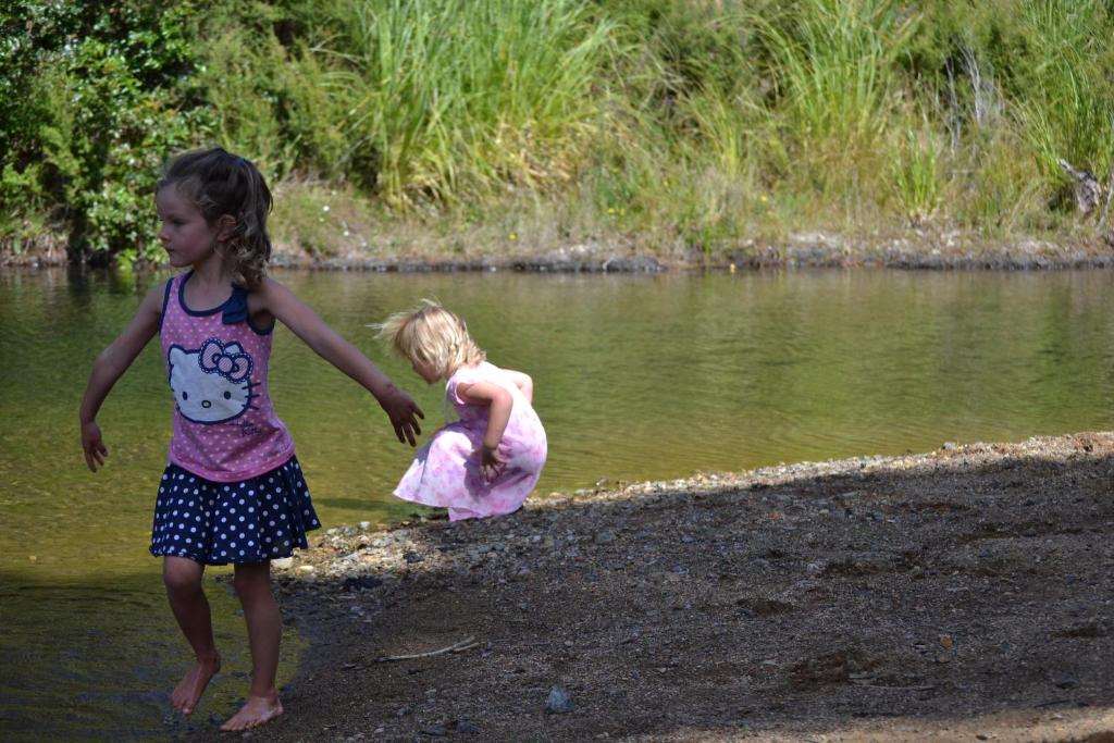 Te Mata Lodge photo