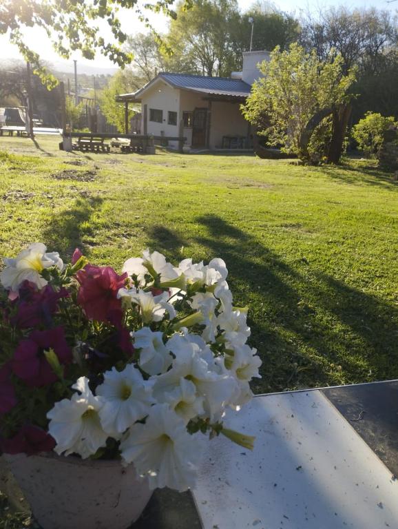 Las Brisas casas de campo un lugar para soñar - 2