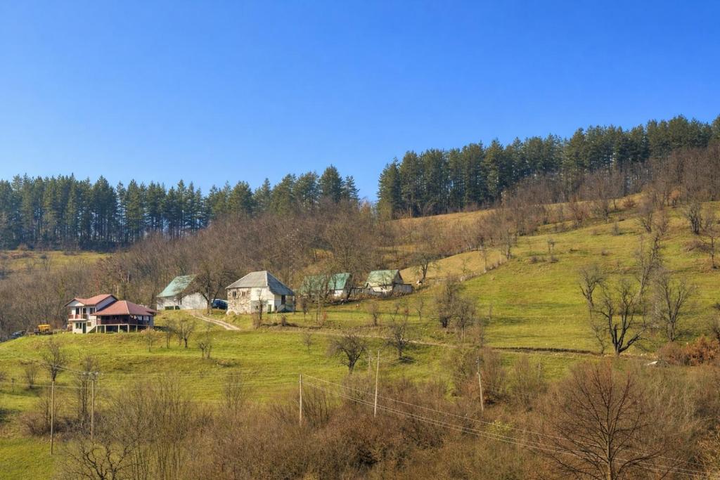 Modern Mountain Mystic Kolasin - 3