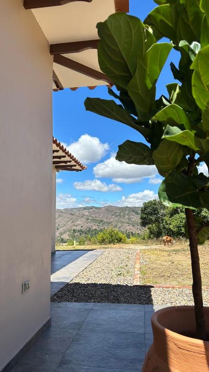 Casa Pistacho - 3
