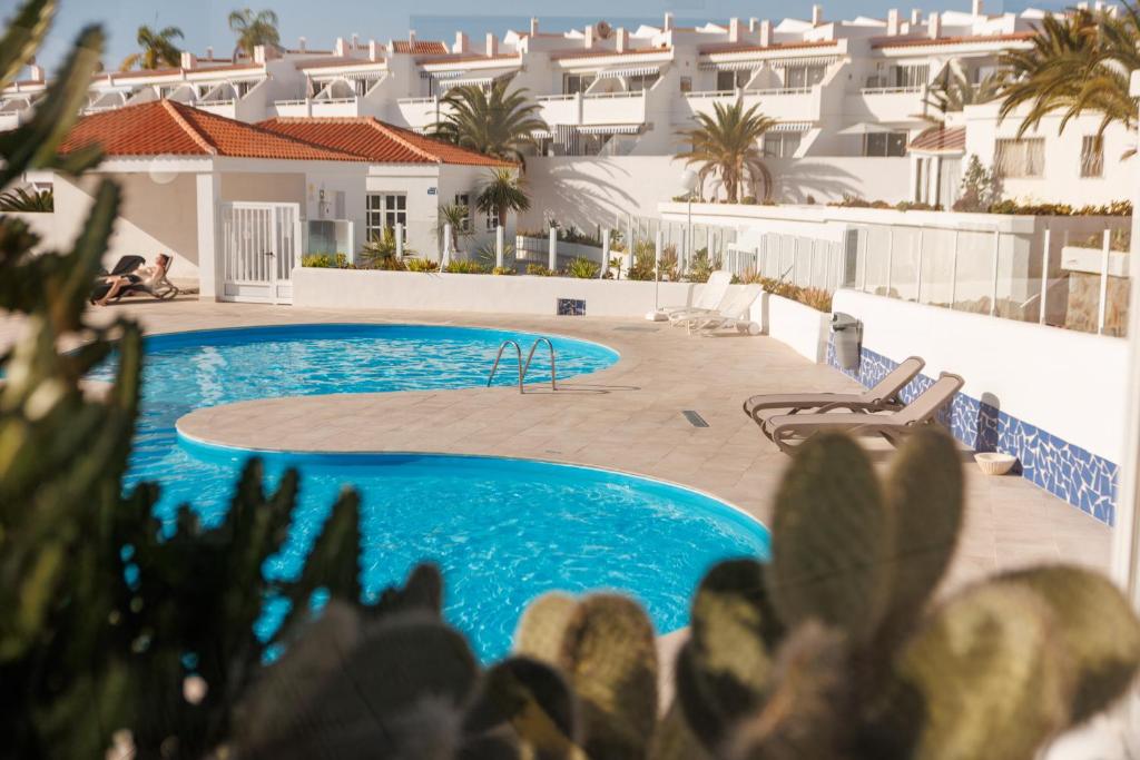 Serenity Ocean View 1BR Apartment with Terrace, Pool & Walk to Beaches - 1