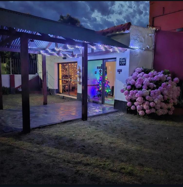 Las Violetas - 2