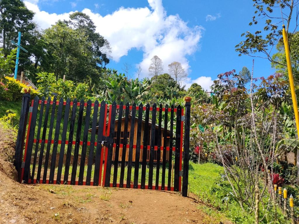 La canelita - 2