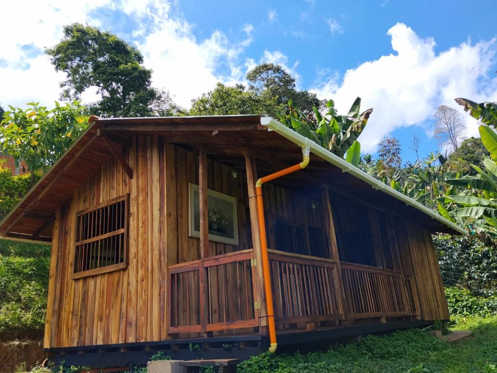 La canelita - 5