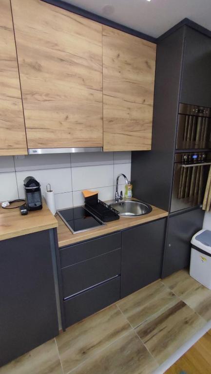 Srebrena Vila Apartman Elena 4 - 3