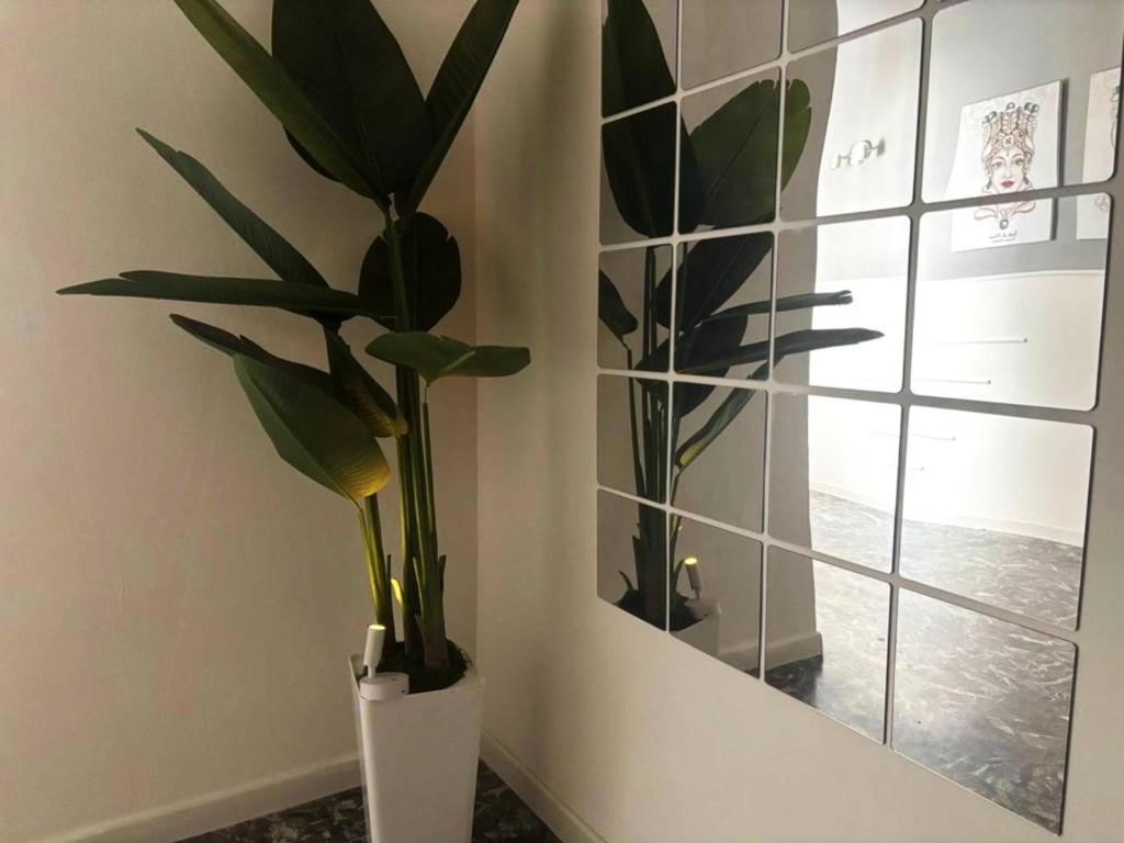 Enne's Apartments in the heart of Palermo - 2