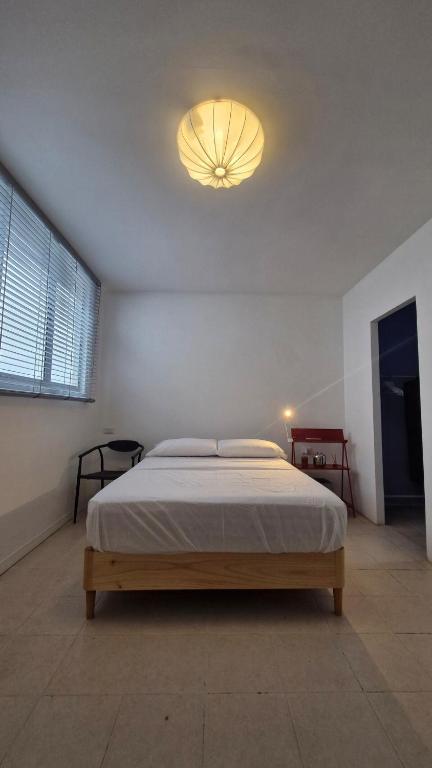 Loft 201 H54 Waiwa host - 3