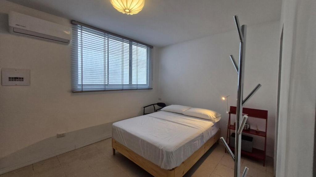 Loft 201 H54 Waiwa host - 5