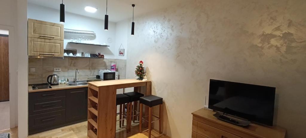 Studio apartman Pale - 2