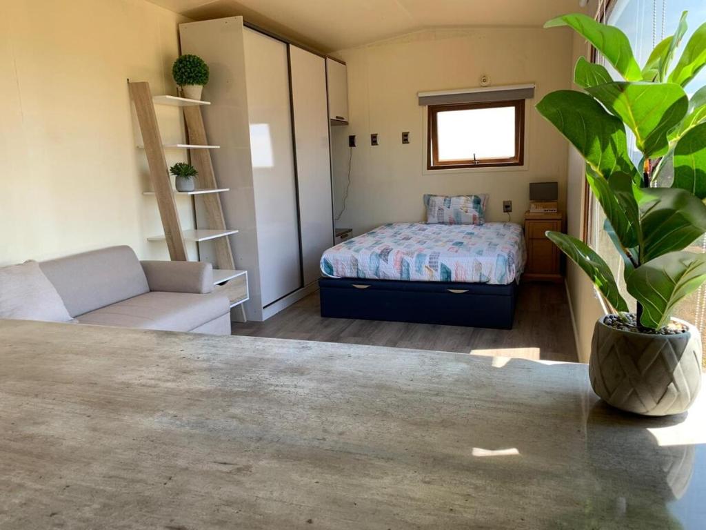 Tiny House Full, Puerto Varas - 2
