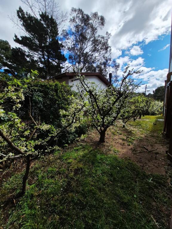 Se alquila en Valeria del Mar - 3