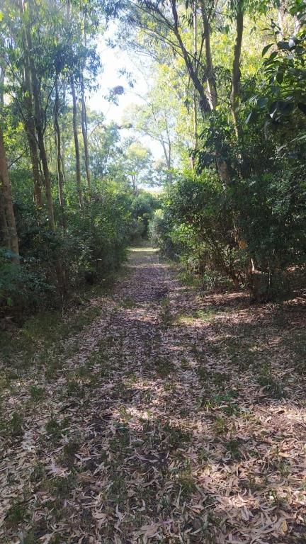Casa en Los Pinos Rural , vista al Río - 2