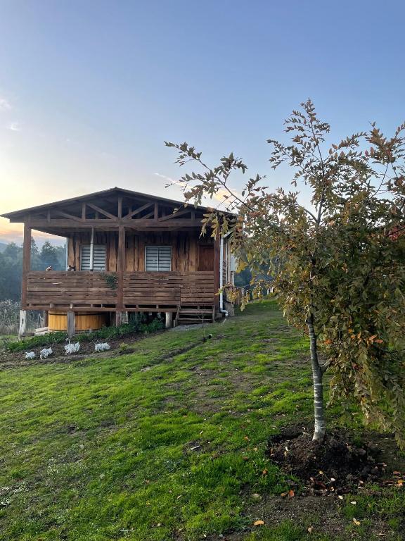 Cabañas de campo - 3