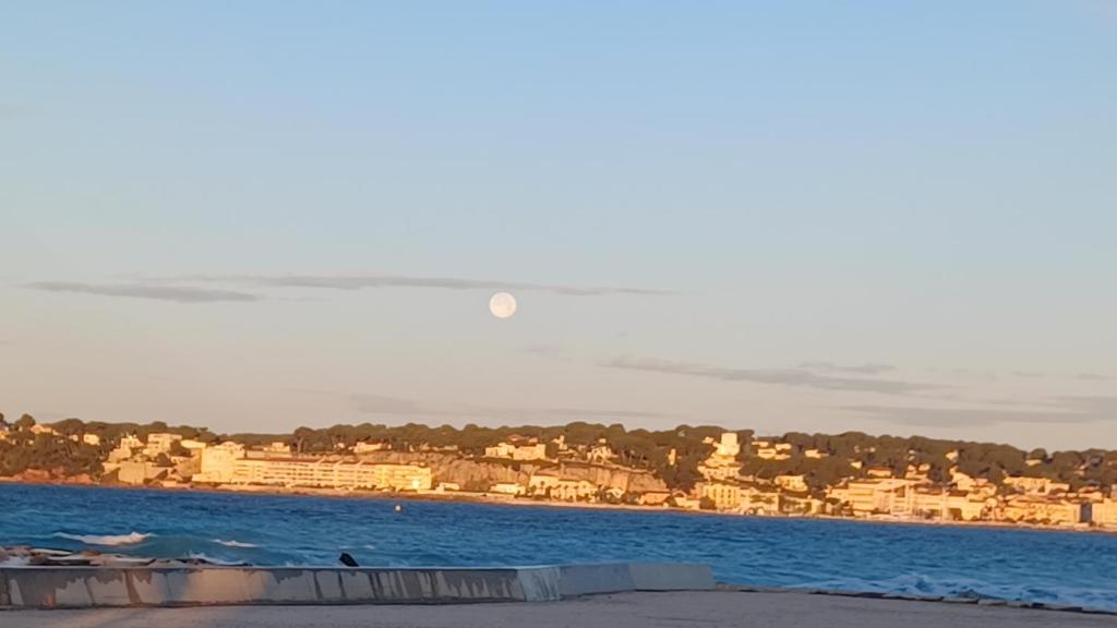 Proche Sanary et plage, grand appartement lumineux dans villa privée, 3 CH avec terrasse et jardin , climatisé SIX FOURS LES PLAGES 300m de la mer - 4