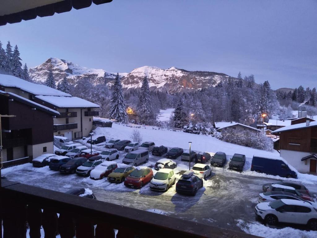 Appartement Les Carroz d'Araches 4 à 6 couchages, vue sur montagne - 1