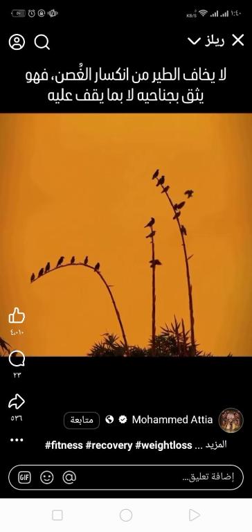 Ảnh 4