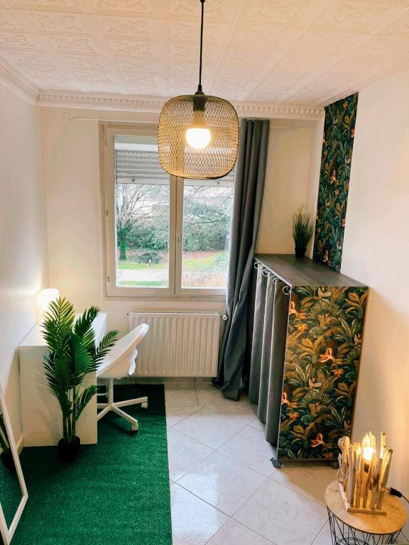 Colocation maison - Villeurbanne près de Lyon - 4