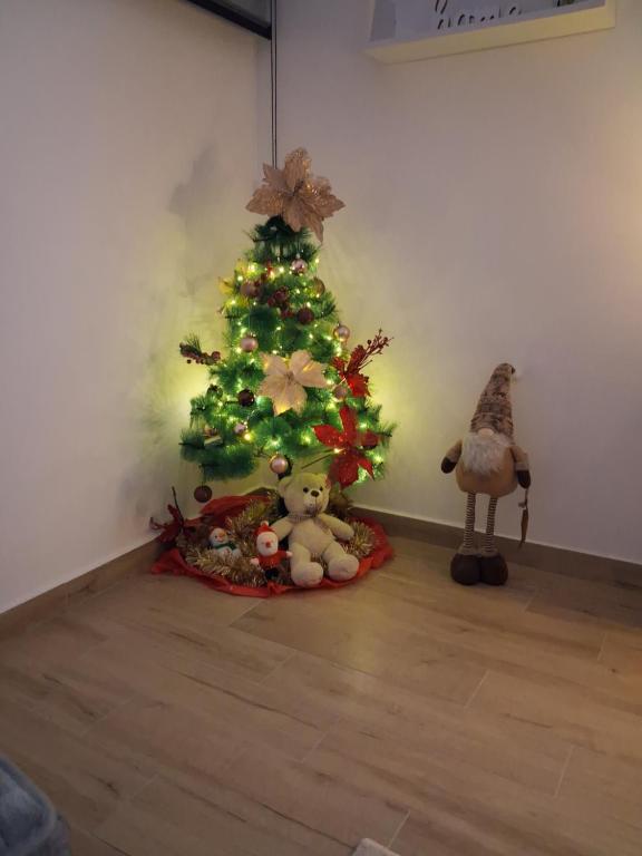 Apartman Zvezdica - 3