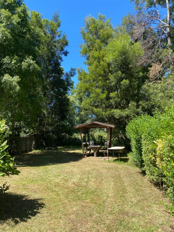 Camping fundo san pablo - 2
