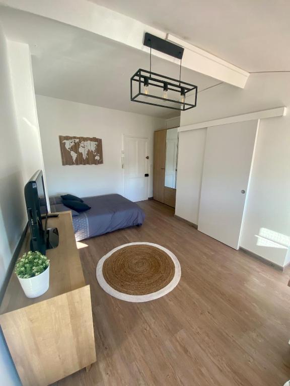 Studio moderne au Carré d'Or - 4