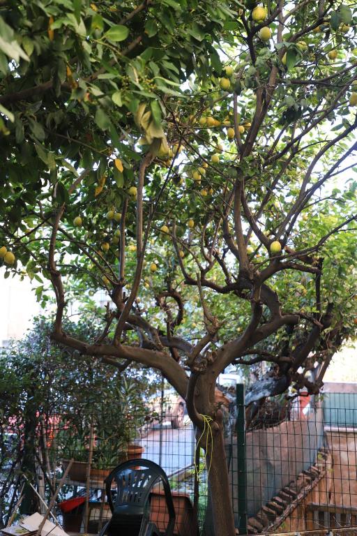 Casa con Giardino a Roma, 2 Camere, Ideale per Famiglie, 15 minuti dal Colosseo, 5 minuti da Mirti - 3