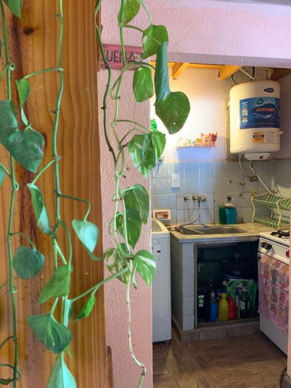 Departamento en Alquiler temporario Villa Gesell - 3