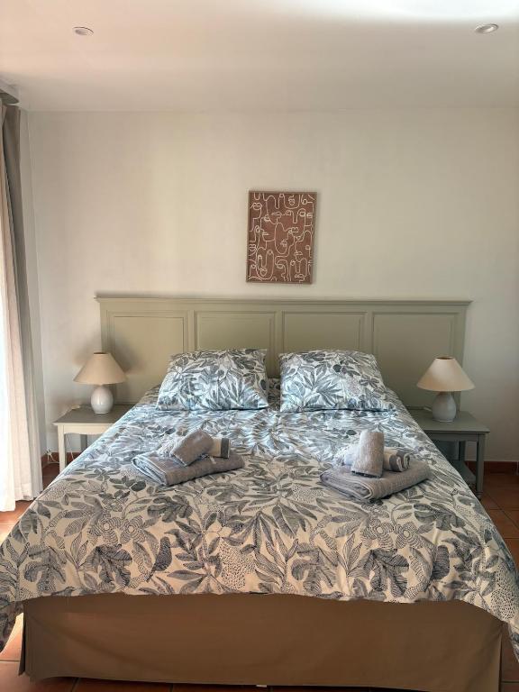Appartement domaine de Pont Royal - 3
