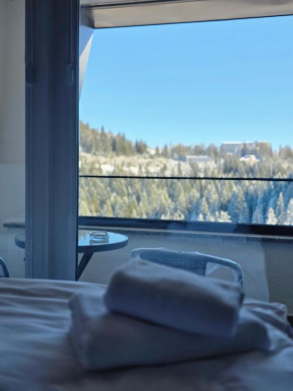 Privatni apartman A37 u sklopu hotela Vucko Jahorina - 2