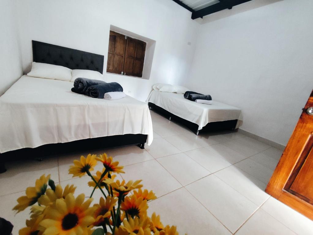 Finca Tasnia - 5