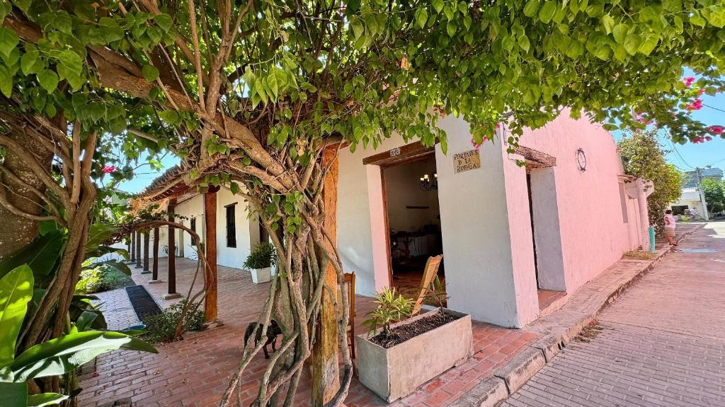Casa Portales - 4