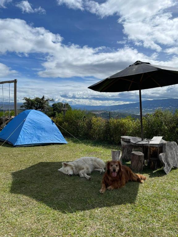 Zona de Camping El mirador - 3