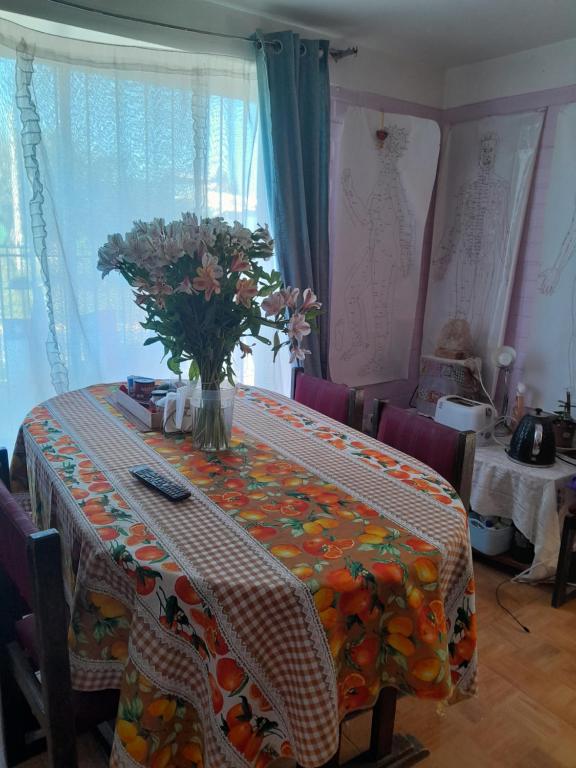 Quillota Hermosa Ciudad - 1