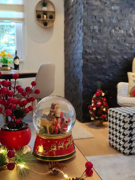 Vila Jahor Apartman Casa 4 - 3