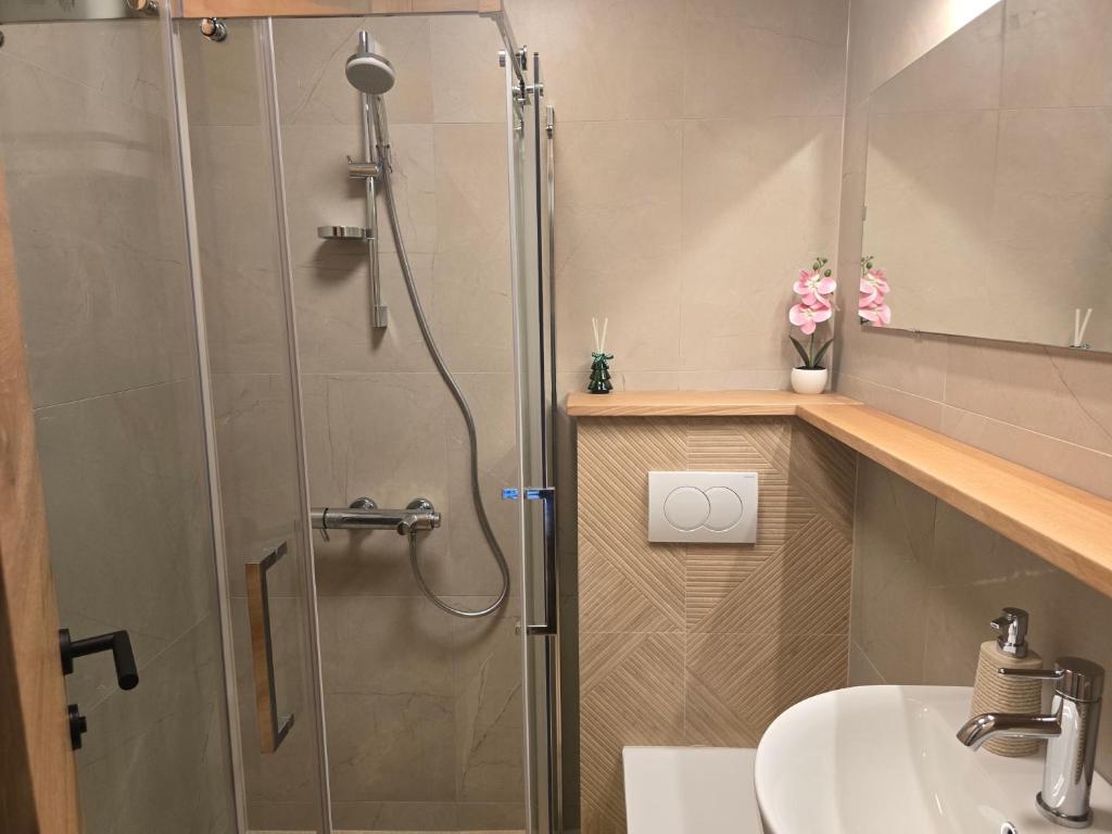 Apartman Arizanović - 5