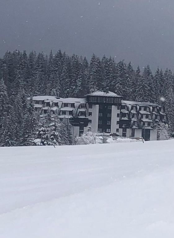 Apartman Nikolic 417 - 1