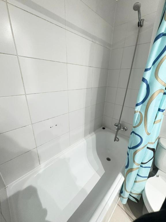 SantiagoCentral - 5