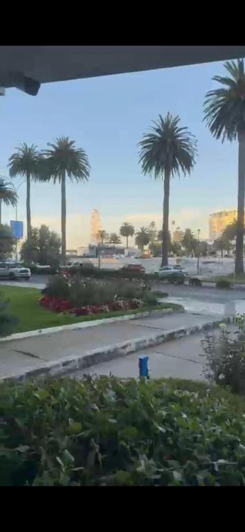 Departamento, Viña del Mar - 2